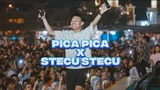 DJ ANDRO 87 - PICA PICA X STECU STECU #djandro #djbreakbeatfullbass #breakbeat