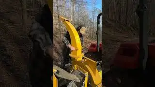 Борьба с грязью с помощью древесной щепы.