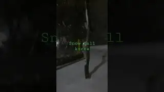 snow fall
