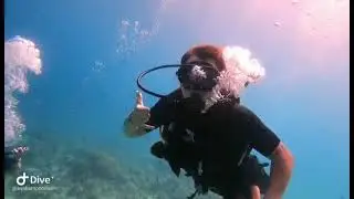 Best Diving in Aqaba, Jordan