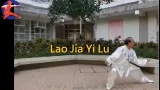 #HKGADbnE #LaojiaYilu #ChenStyleTaiji By #LukCheungChing #ETCseries #NewFrameOne #TuiShou #RogerHoi
