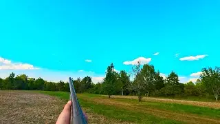 Ultimate Dove Hunt - (Precision Shots!!)