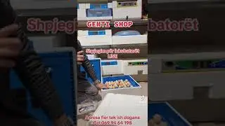 INKUBATOR FULL AUTOMATIK Incubator