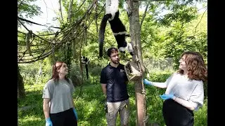 Animal Experiences at Bristol Zoo Project