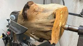 Woodturning:  The Wizened Willow