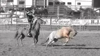 Great Basin Buckaroos