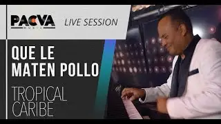 QUE LE MATEN POLLO - TROPICAL CARIBE EN EL LIVE SESSION DE PACVA MUSIC