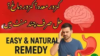 Stomach Health | Brain Power | Natural Solution