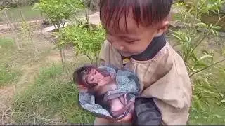 Sedih anak monyet prematur merindukan ibunya
