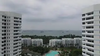 View from Mandarin Gardens condominium (by drone)