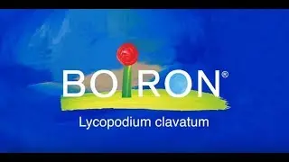 Lycopodium clavatum
