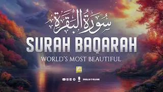Surah Al-Baqarah Full (سورة البقرة) | ULTIMATE Heart-Touching Quran Recitation #relaxingquran
