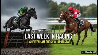 Panic Attack, L&rsquo;Eau du Sud, Wade Out & Regaleira | Weekly Racing Recap 8-16 November 2025