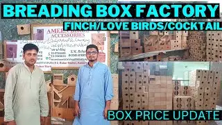 Breading Box Factory Finch , Love birds & cocktail Box Price Update || Karachi 2022
