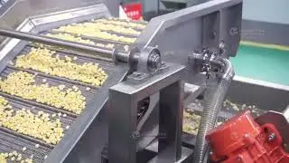Sweet Corn Kernel Processing Line For Threshing Washing Air-drying Machine