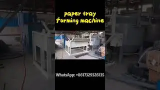Fully Automatic Paper Tray Machine &ndash; Boost Your Production Efficiency! #paper #egg #recycle #eggtray