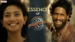 Essence of #Thandel (Tamil) | Naga Chaitanya | Sai Pallavi | Chandoo Mondeti | DSP | Bunny Vas