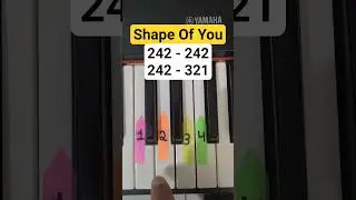 Anyone Can Play Piano &ndash; Step by Step 🎼💥