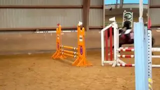 Mannschaftsspringen Reitstall Petersen 11.03.2017