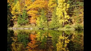Walk around the Pink Lake Trail