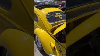 A Slammed 60 European Ragtop Bug At the Midlife_Vwcrewzers Cars show✨🐝