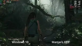 Shadow of the Tomb Raider Ryzen 3600 RX 580 LINUX vs WINDOWS 10 20h2