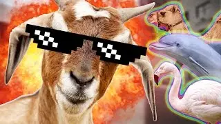 ROBBING A BANK! | Goat Simulator: PAYDAY