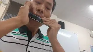 北國之春/如何運用腹式呼吸將口琴音色美化