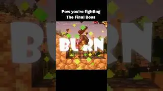 Baby skeleton Final fight POV, let the world burn #minecraft