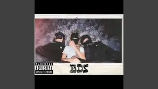 Bds