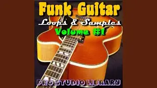 Funk Guitar Sample #5