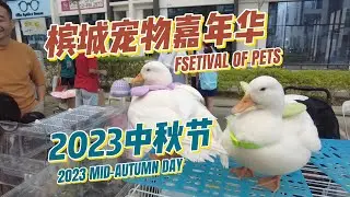 槟城中秋宠物嘉年华，撸兔撸猫撸狗加撸鸭，还可以看漂亮小姐姐扮嫦娥！