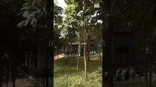 Take a Break in Nature&rsquo;s Lap | Hotel Sonar Bangla Joypur | Peaceful Forest Stay in Bengal