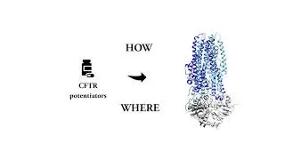 Identifying the molecular target sites for CFTR potentiators GLPG1837 and VX-770 - Yeh et al.