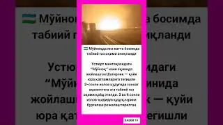 Мўйноқда яна катта босимда табиий газ оқими аниқланди #tiktok #video #rek #shorts #hikmat