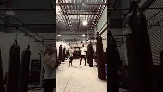 Cross training mixed martial art & hanging & suspension  bodyweight fitness 