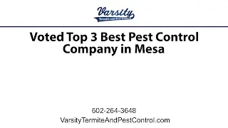Varsity Voted Top Three Best Rated Pest Control Companies in Mesa!