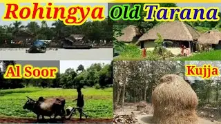 Rohingya Old Tarana Rohingya Islami Mahaz Best Tarana  Kawal Shayeray Arkhan  #Allkawali#Furan Taran