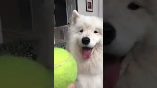 A good friend of MrCAT who also loves sports