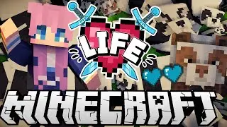 ✧･ﾟ: Panda Chaos :･ﾟ✧ | Ep. 6 | Minecraft X Life SMP