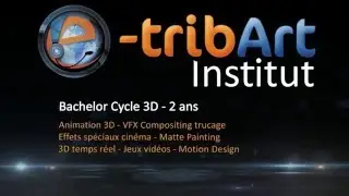 Inscription Cycle 3D Bachelor 2016 - &eacute;cole 3D en ligne e-tribArt