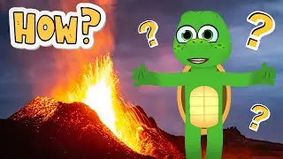 Tommy the Turtle Explains: How Do Volcanoes Erupt? 🌋 | Fun Kids Learning Video!