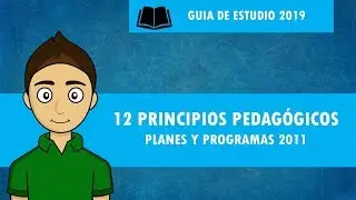 12 PRINCIPIOS PEDAG&Oacute;GICOS planes y programas 2011