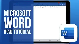 Учебное пособие по Microsoft Word для iPad (2019)