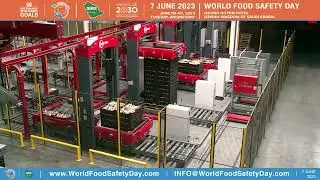 Tamimi   WFSD 2023