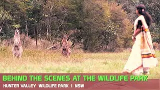 Exploring the Wild  |  Hunter Valley Wildlife Park  |  NSW  |  Australia