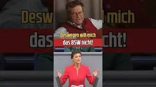 Warum ihn das BSW nicht wollte!
