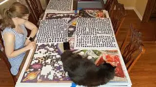 Ravensburger Astrology 9000 Piece Puzzle Part 5 (THE END)