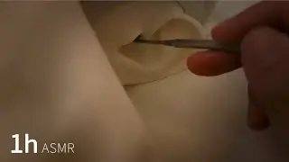 [1 Hour ASMR] Ear Cleaning with Stainless Earpick 2 Type(Earhole) | No talking