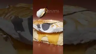 LEMON CURD BURNT BASQUE CHEESECAKE MUSECHEESECAKES.US